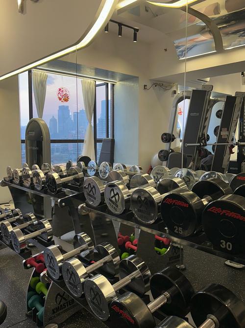 乐山豪仕特健身房价格多少？-第3张图片-德高鼎泰便民中心