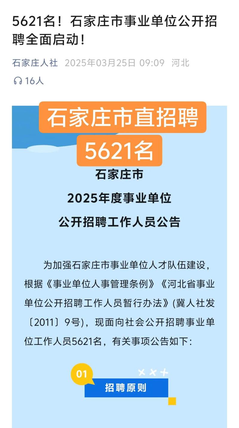 石家庄物业总经理招聘有何要求？-第3张图片-德高鼎泰便民中心