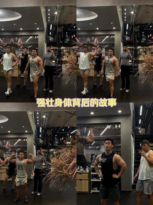 酷动健身和浩沙，到底哪个更值得选？-第3张图片-德高鼎泰便民中心