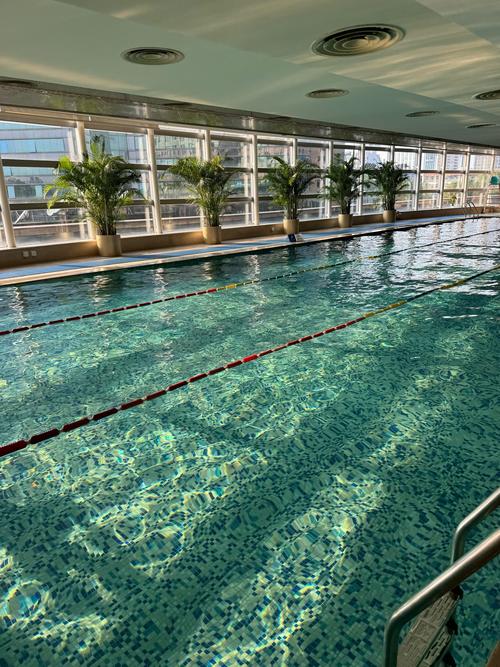 北京活力阳光游泳健身-第2张图片-德高鼎泰便民中心