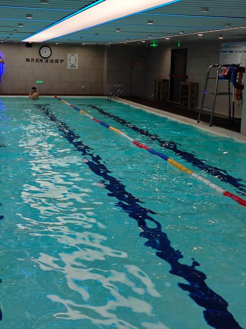 长春哪家健身房带游泳馆比较好？-第2张图片-德高鼎泰便民中心
