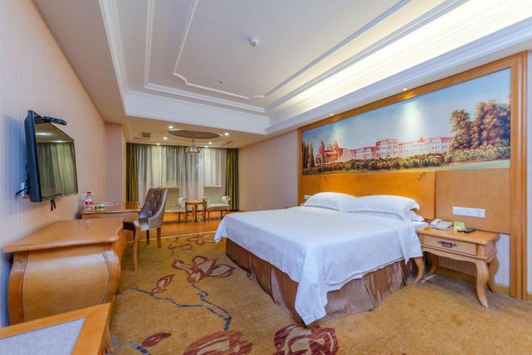 株洲维也纳酒店怎么预订最优惠？-第1张图片-德高鼎泰便民中心