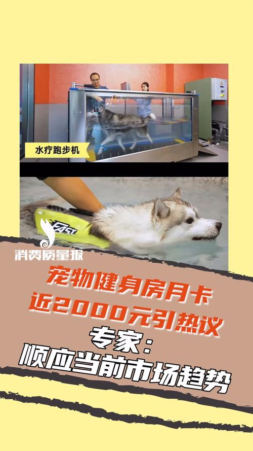 江门健身房月卡价格是多少？-第2张图片-德高鼎泰便民中心