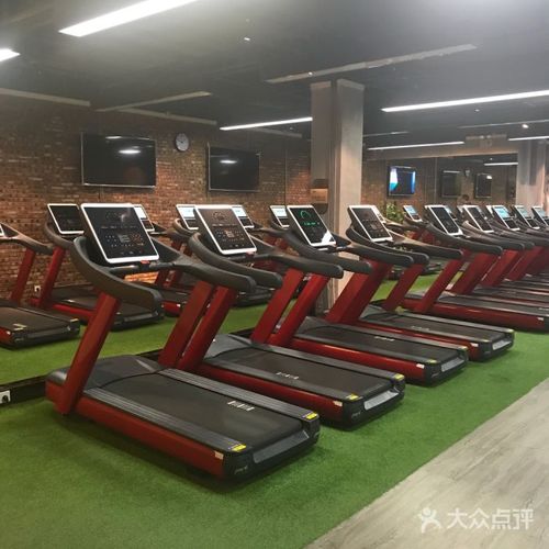 石家庄欧力健身真实体验如何？-第3张图片-德高鼎泰便民中心