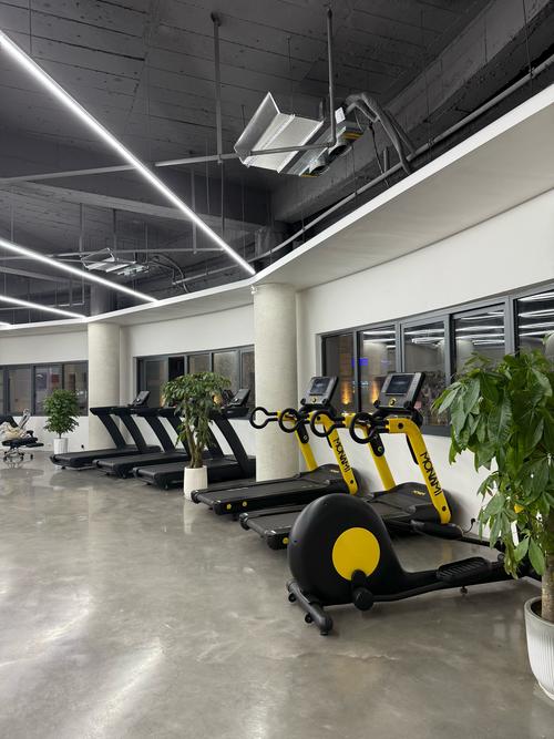 茂名健身房哪家更靠谱？-第2张图片-德高鼎泰便民中心