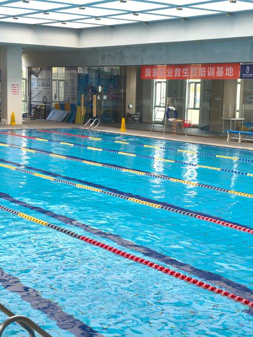 越秀区全民健身游泳馆怎么预约？-第2张图片-德高鼎泰便民中心