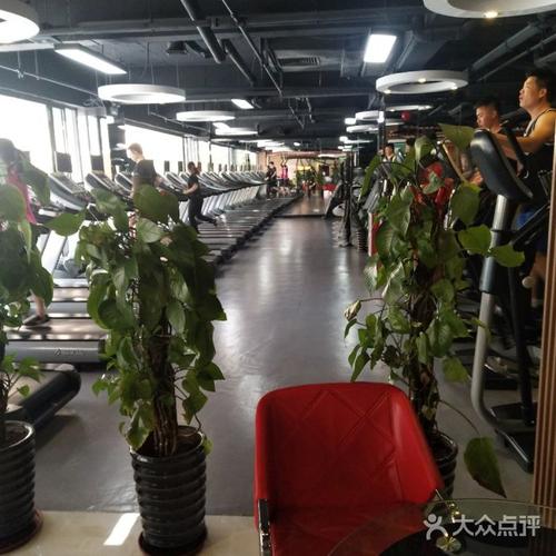 沈阳星汇力健身俱乐部怎么样？-第2张图片-德高鼎泰便民中心