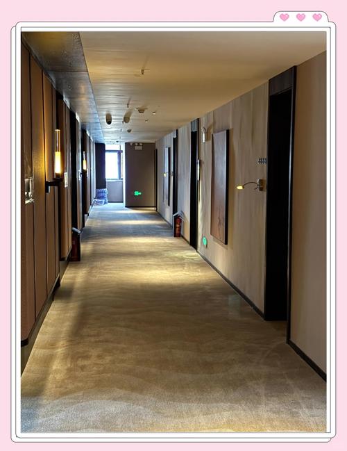 长沙为铂金主题酒店，长沙预订有何玄机？-第1张图片-德高鼎泰便民中心