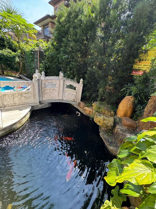 高明美的主题酒店预订怎么选最划算？-第3张图片-德高鼎泰便民中心