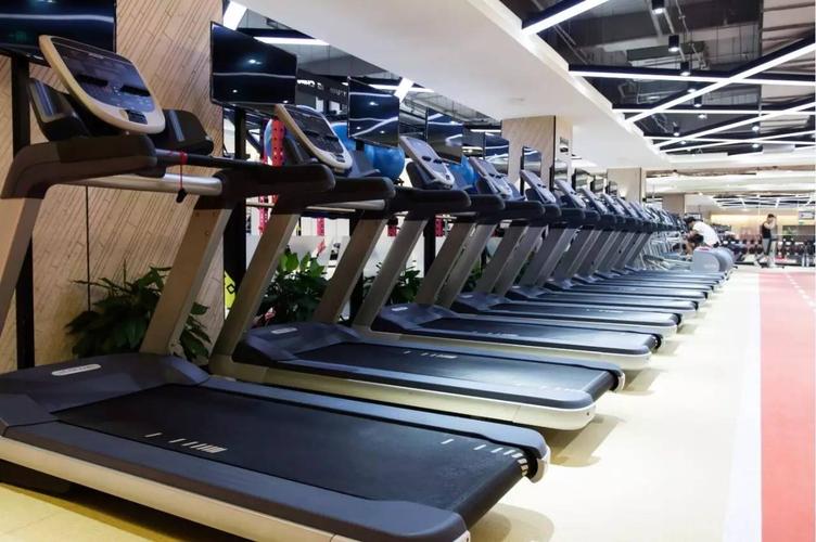 南京宝力豪健身真实体验如何？-第2张图片-德高鼎泰便民中心