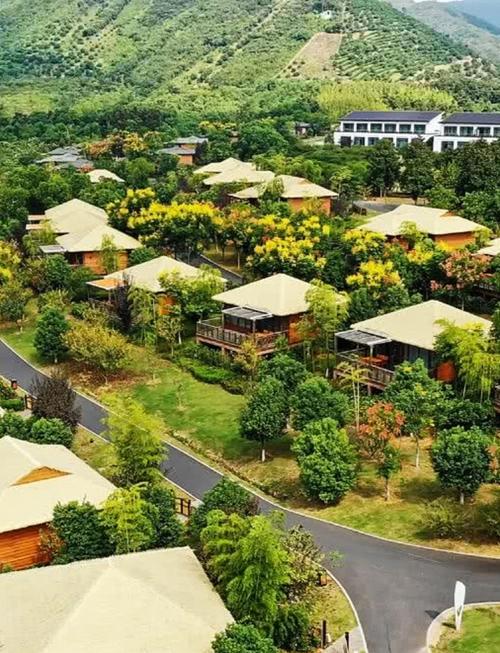 乡村特色主题酒店预订-第1张图片-德高鼎泰便民中心