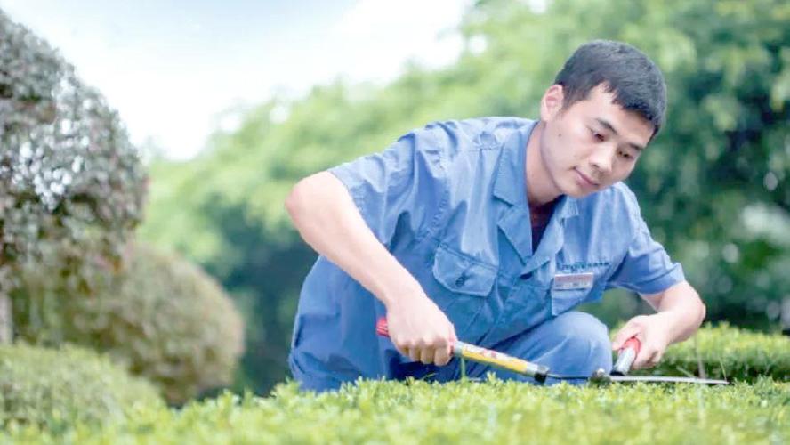 前期物业如何更换物业公司？-第3张图片-德高鼎泰便民中心