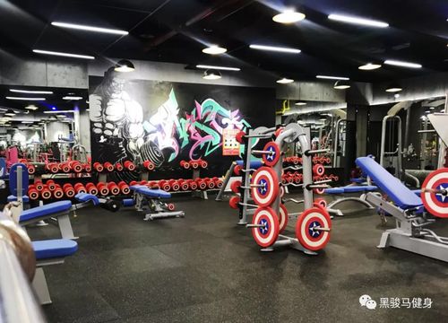 上海黑骏马健身客服-第3张图片-德高鼎泰便民中心