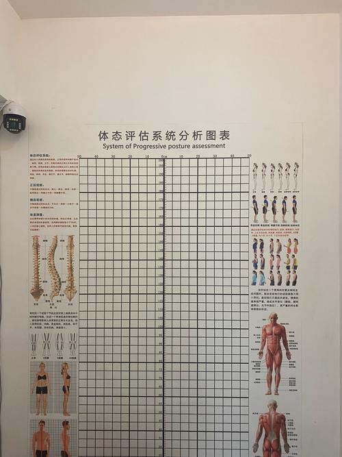 健身健康评估78分-第2张图片-德高鼎泰便民中心