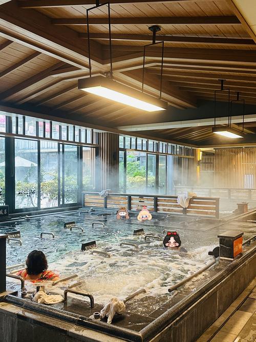 成都假日温泉酒店预订-第1张图片-德高鼎泰便民中心