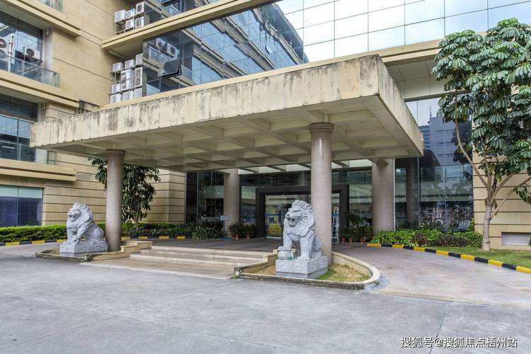 深圳常见物业公司有哪些？-第1张图片-德高鼎泰便民中心