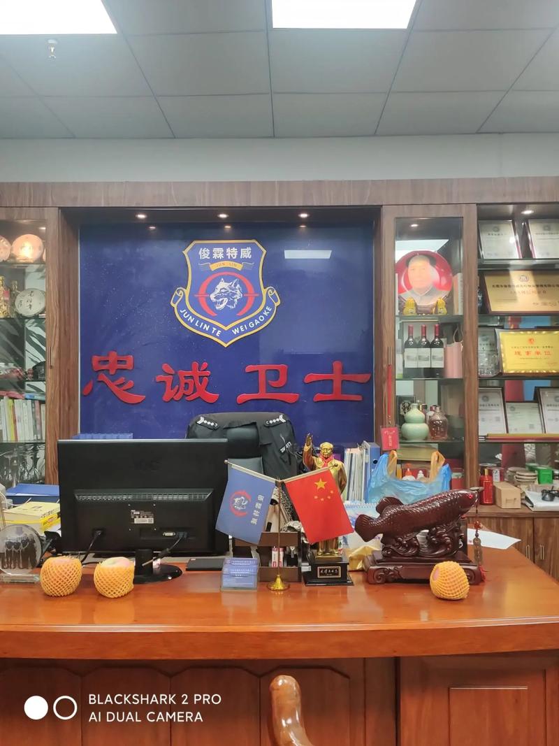 东莞市 物业管理服务-第2张图片-德高鼎泰便民中心