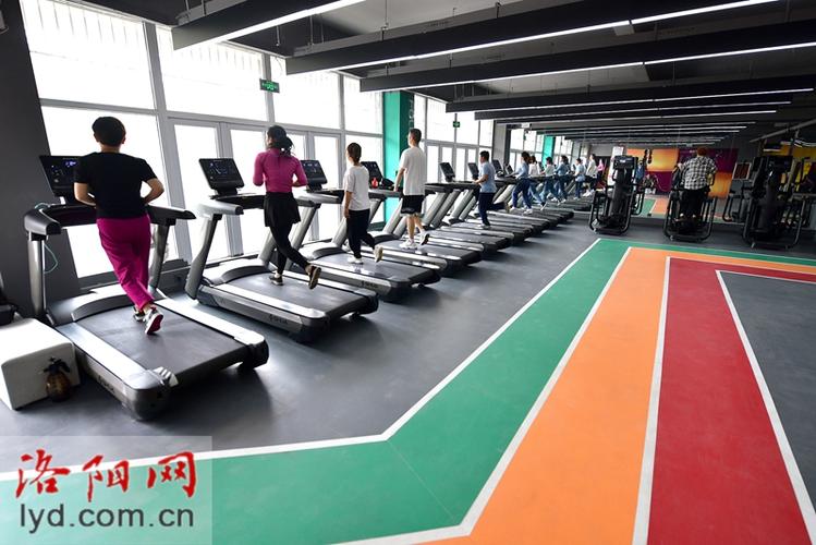 洛阳洛龙区健身会所哪家好？-第1张图片-德高鼎泰便民中心