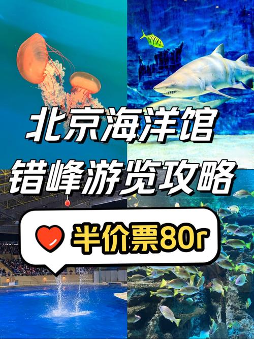 海底世界主题酒店怎么预订最优惠？-第3张图片-德高鼎泰便民中心