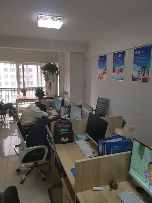 上海丰诚物业怎么样？服务靠谱吗？-第1张图片-德高鼎泰便民中心