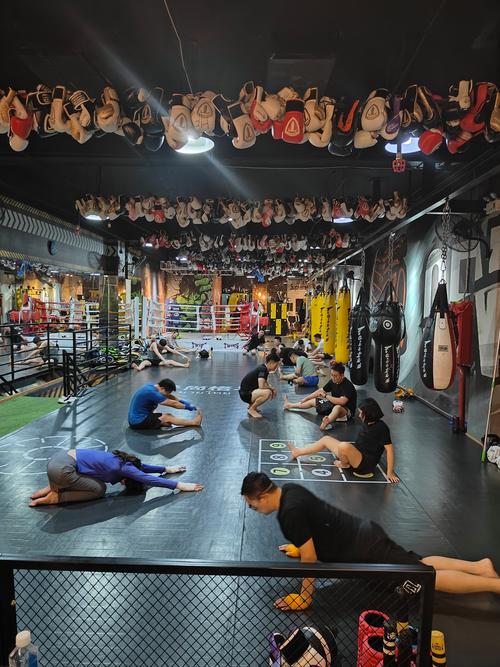 北京打拳健身俱乐部哪家好？-第1张图片-德高鼎泰便民中心