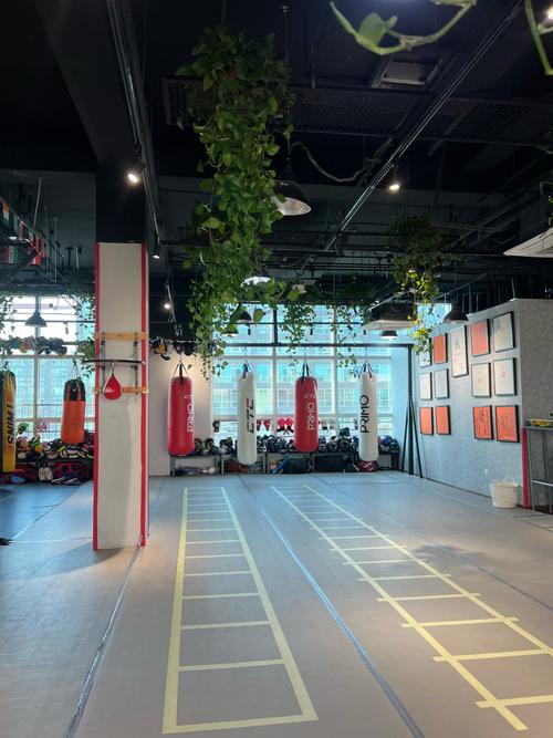 拳心拳击健身俱乐部，如何科学练出好身材？-第2张图片-德高鼎泰便民中心