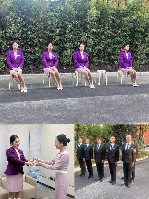 物业客服技能比赛视频看点是什么？-第2张图片-德高鼎泰便民中心