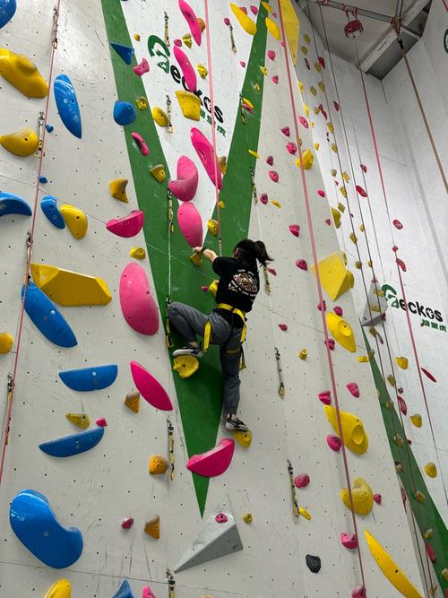 龙岩奥体健身拉手，是限时福利还是常规活动？-第1张图片-德高鼎泰便民中心