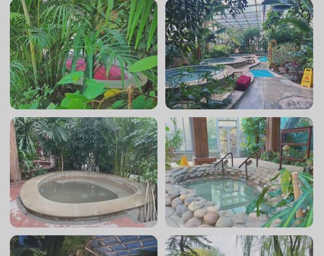 南宫温泉酒店酒店预订-第1张图片-德高鼎泰便民中心