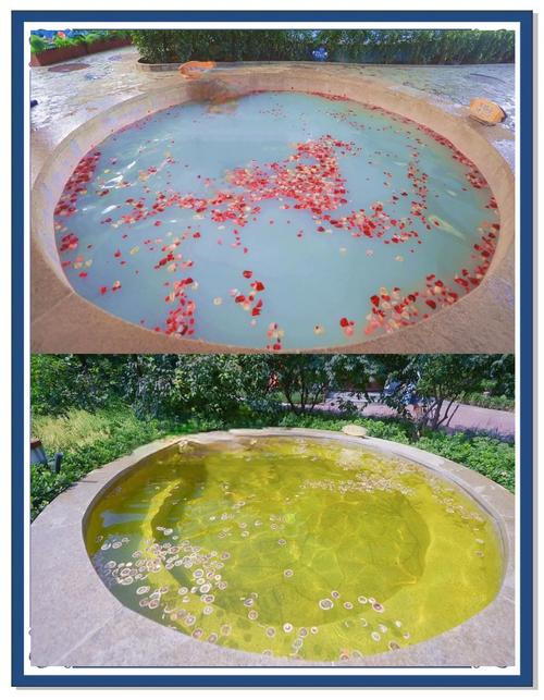 南宫温泉酒店酒店预订-第2张图片-德高鼎泰便民中心