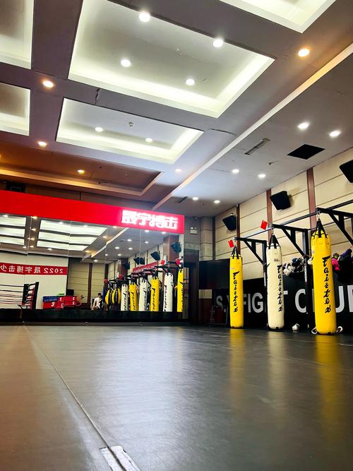 天津健身搏击俱乐部哪家强？-第1张图片-德高鼎泰便民中心