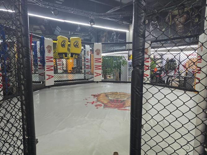 天津健身搏击俱乐部哪家强？-第2张图片-德高鼎泰便民中心
