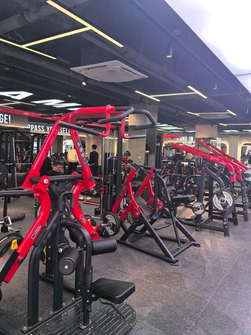 齐齐哈尔健身房哪家值得选？-第1张图片-德高鼎泰便民中心