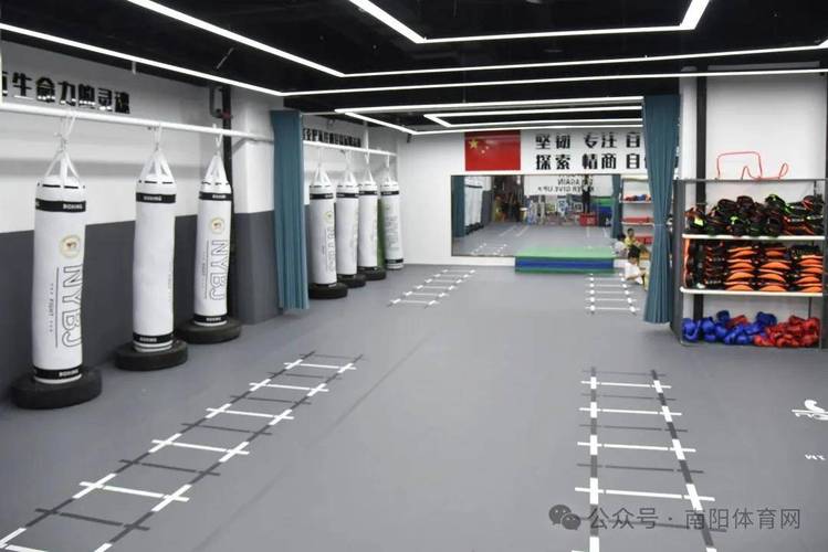 南阳拳击健身俱乐部哪家强？-第1张图片-德高鼎泰便民中心