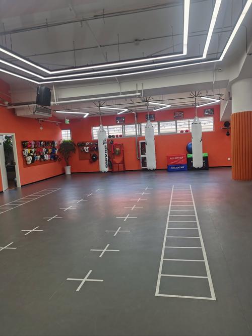 南阳拳击健身俱乐部哪家强？-第3张图片-德高鼎泰便民中心