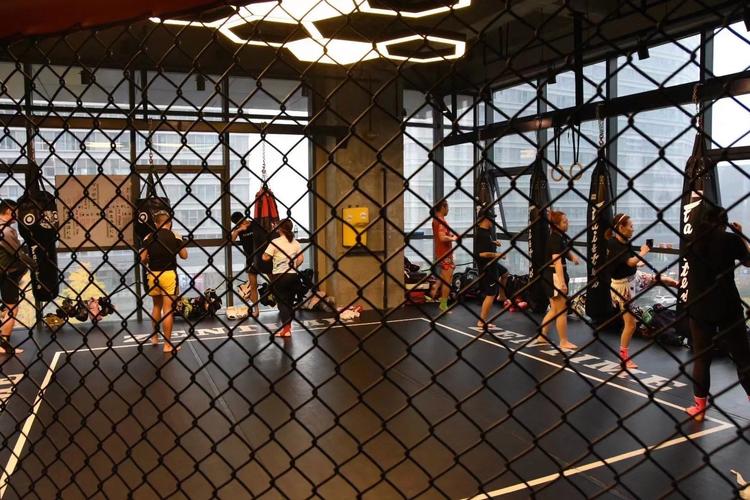 南阳拳击健身俱乐部哪家强？-第2张图片-德高鼎泰便民中心