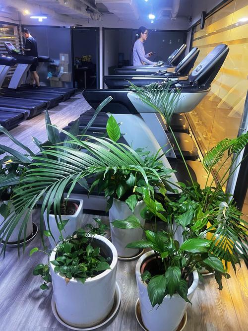 安阳国贸中心健身有何特色或优势？-第1张图片-德高鼎泰便民中心