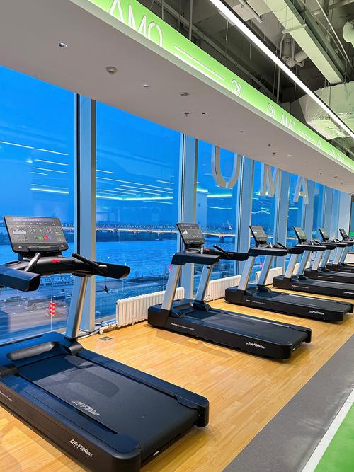 哈尔滨人为何独爱健身哈特？-第2张图片-德高鼎泰便民中心