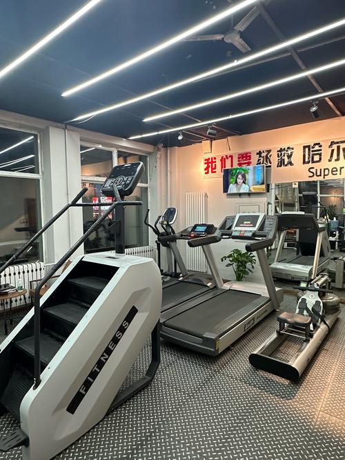 哈尔滨魅力健身会所有何独特魅力？-第1张图片-德高鼎泰便民中心