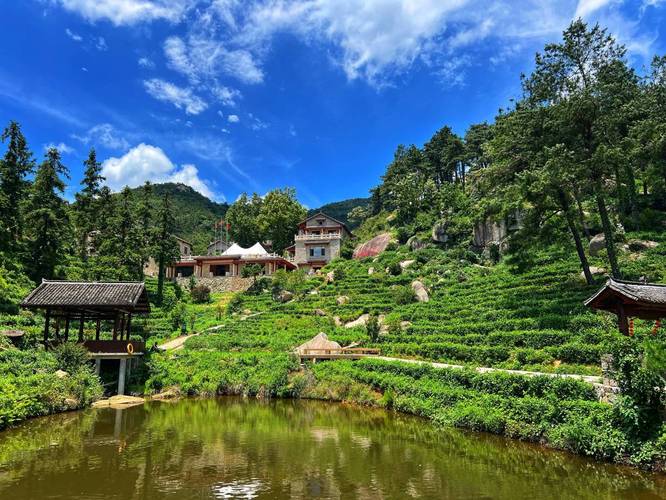 鸡公山风景区酒店怎么预订最优惠？-第2张图片-德高鼎泰便民中心