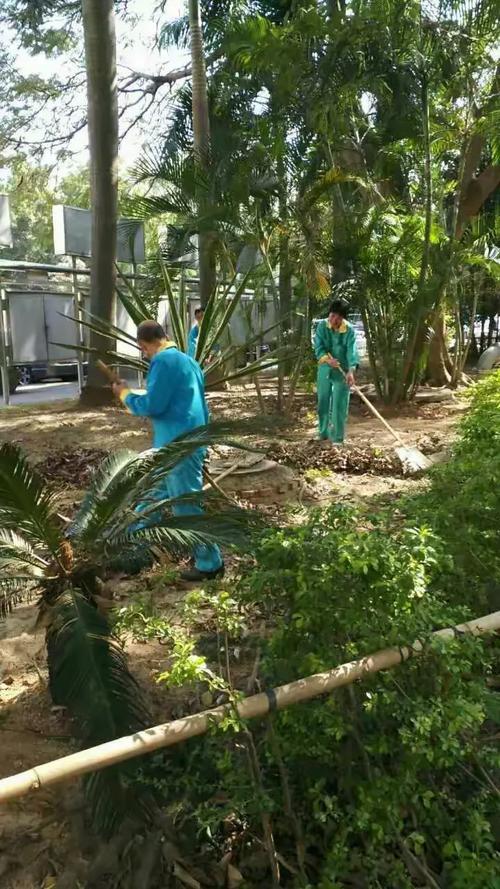 桃源村物业电话是多少？-第2张图片-德高鼎泰便民中心