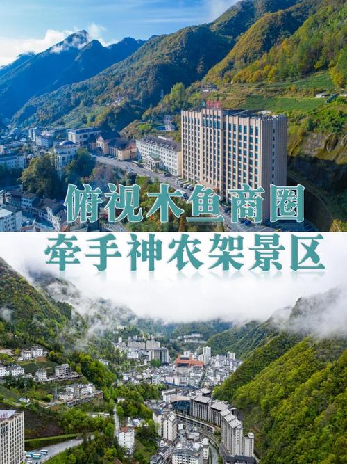 神农架风景区酒店怎么预订？-第3张图片-德高鼎泰便民中心