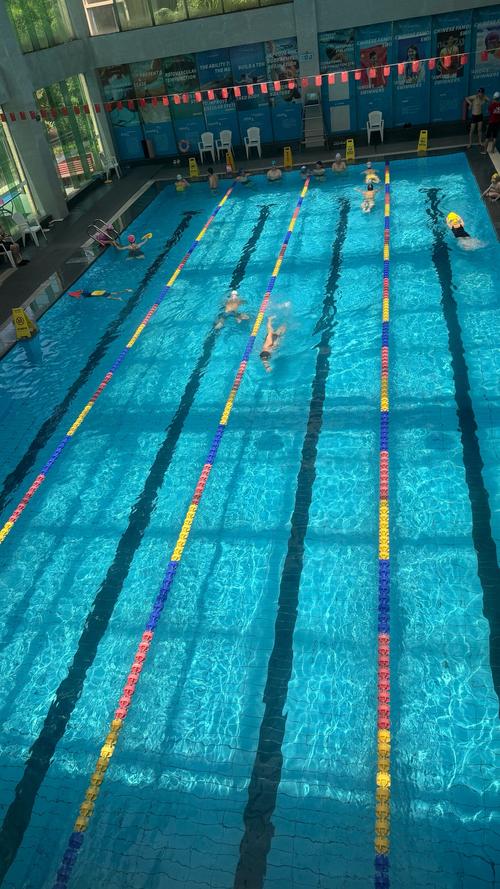 上海闵行区健身游泳哪里好？-第3张图片-德高鼎泰便民中心