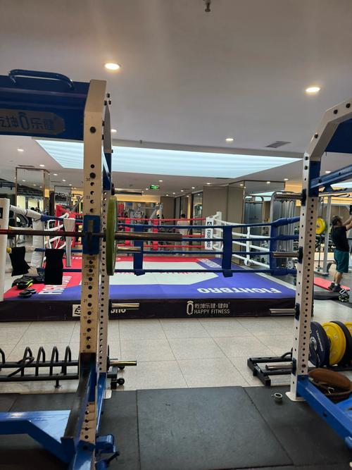 成都完美健身俱乐部，健身效果如何？-第3张图片-德高鼎泰便民中心