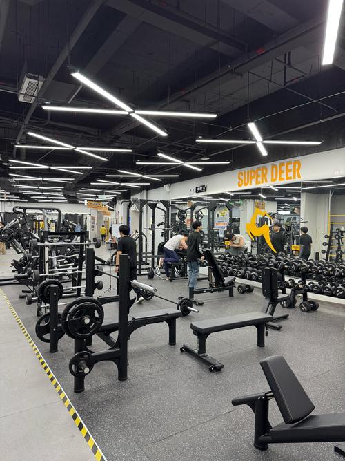 绩溪超越健身300有何独特之处？-第1张图片-德高鼎泰便民中心