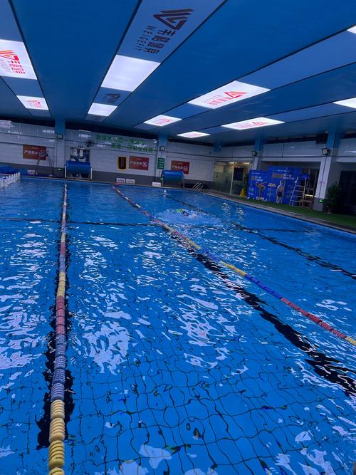 许昌游泳健身俱乐部哪家好？-第2张图片-德高鼎泰便民中心