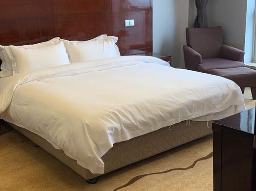 荆州金九龙大酒店怎么预订？-第1张图片-德高鼎泰便民中心