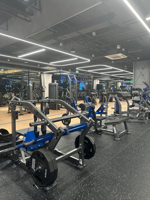 深圳健身比赛谁能夺冠？-第2张图片-德高鼎泰便民中心