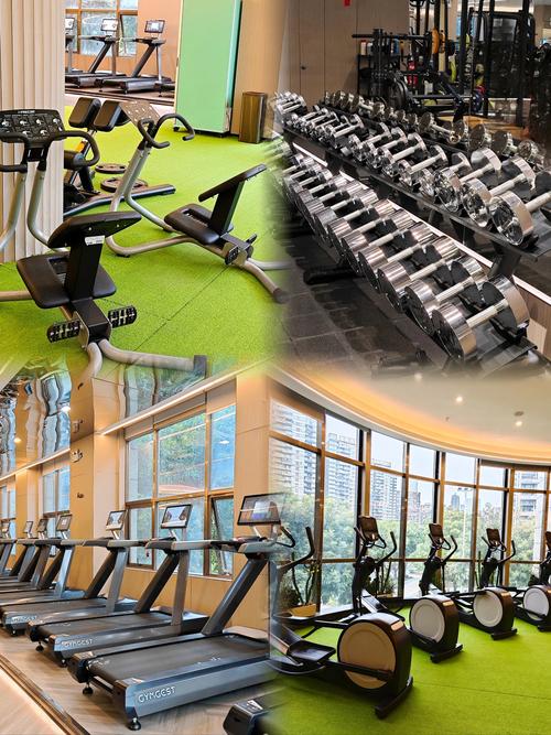 深圳健身比赛谁能夺冠？-第1张图片-德高鼎泰便民中心