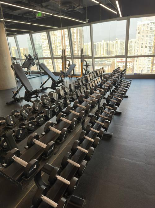 嘉兴 蜂巢私人健身-第2张图片-德高鼎泰便民中心